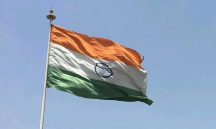Video: Torn tricolor spotted flying in New Delhi