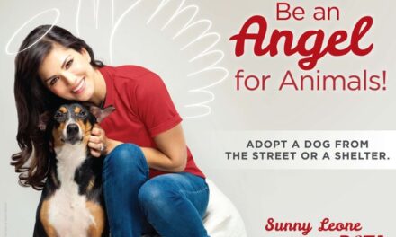 ‘Be an angel, give it a home’, says Sunny Leone