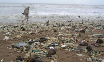 Clean-Up Versova Rock Beach: Residents clear 72,500 kg of trash in 26 weeks
