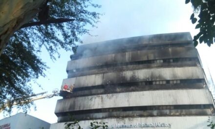 Massive fire engulfs Museum of Natural History in New Delhi