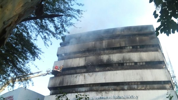 Massive fire engulfs Museum of Natural History in New Delhi