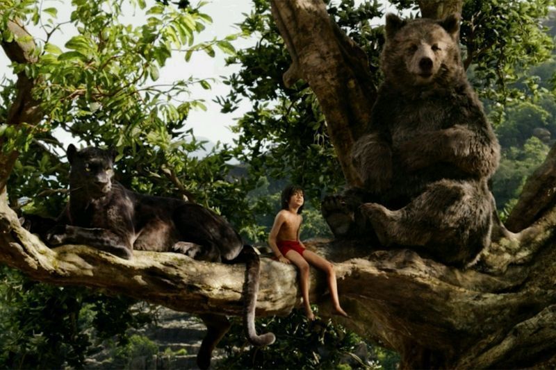 The Jungle Book becomes India's highest grossing Hollywood film 1