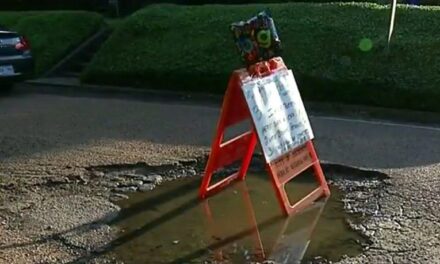 WTF: Man throws birthday party for a pothole