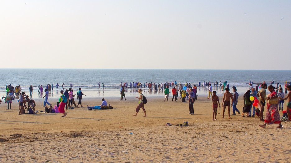 AAI opposes to beautification of Juhu beach