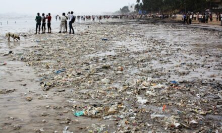 Juhu, Versova and Aksa are city’s dirtiest beaches, reveals survey