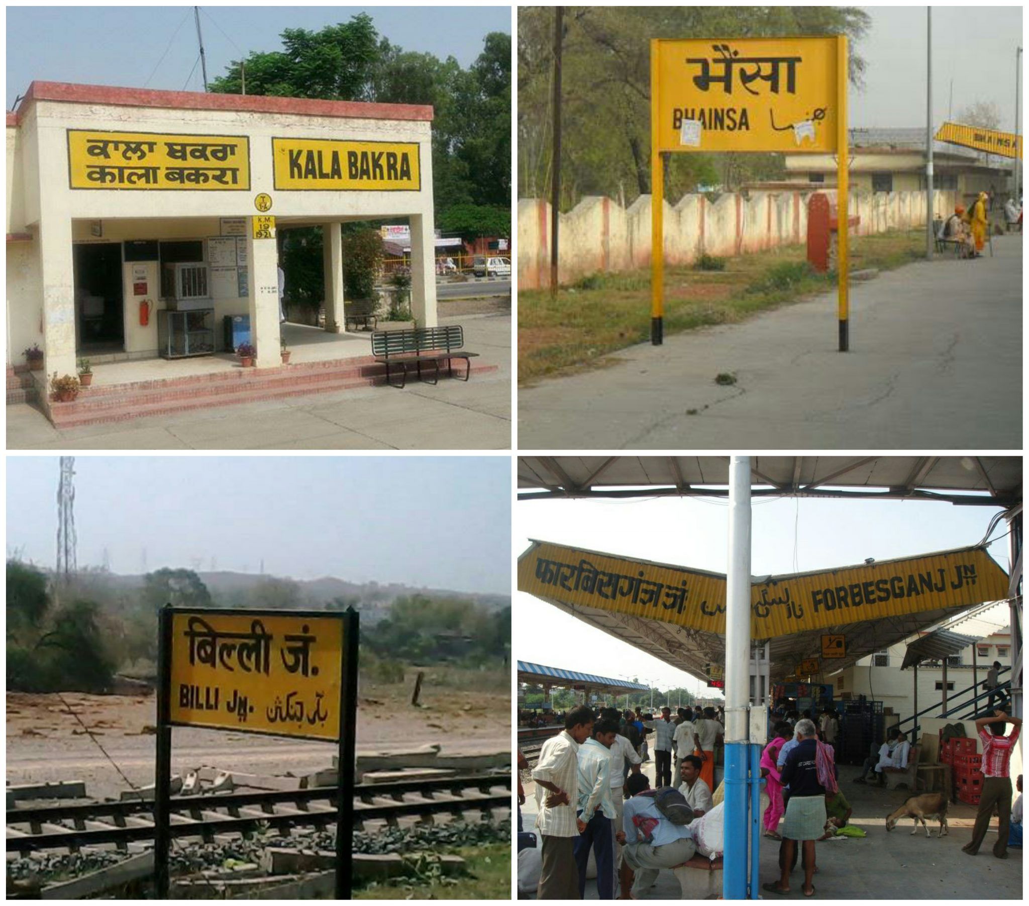 From Kala Bakra to Tatti Khana, India is full of places like this! | Local  Press Co