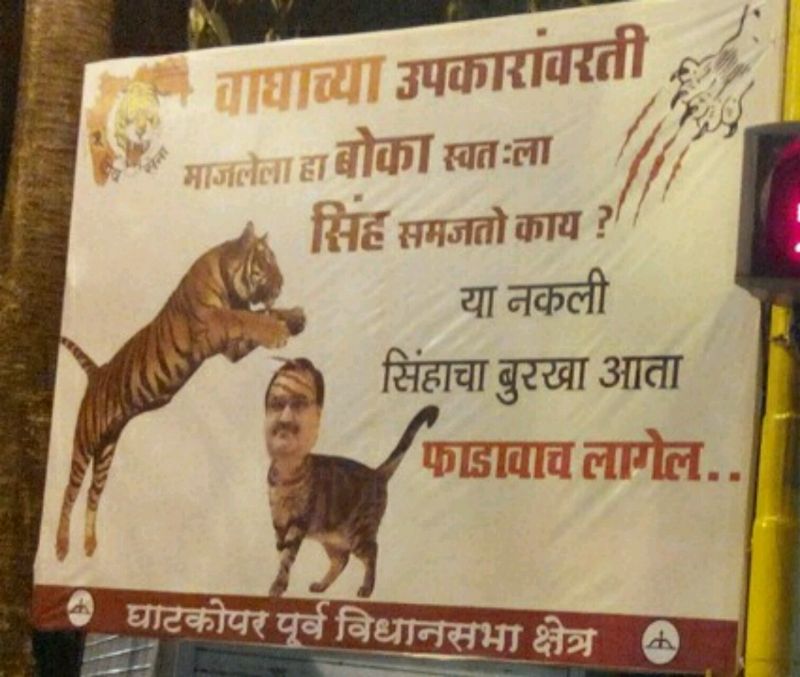 Shiv Sena mocks Ghatkopar BJP leader, photoshops his image on a cat