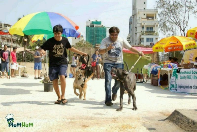 The furry guest's in-Mumbai dining-out circuit