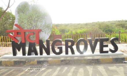 An art installation with a purpose in Dahisar: ‘Save Mangroves’