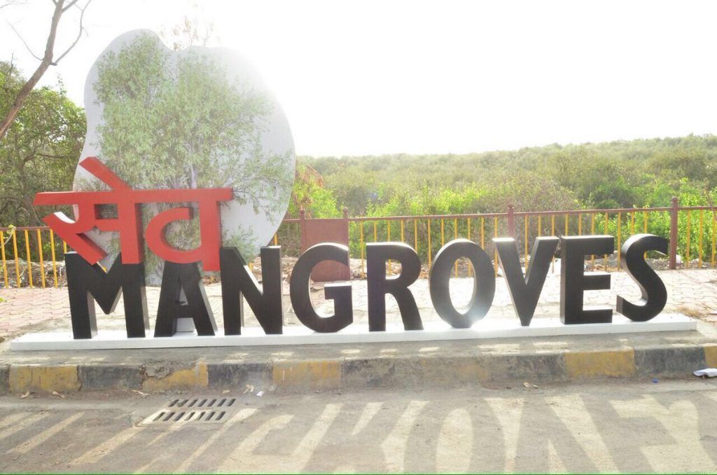 An art installation with a purpose in Dahisar: 'Save Mangroves'