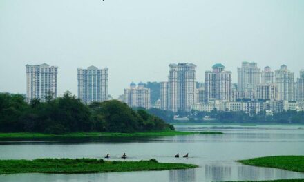 BMC allots Rs 5 crore for Powai lake beautification and cleanup