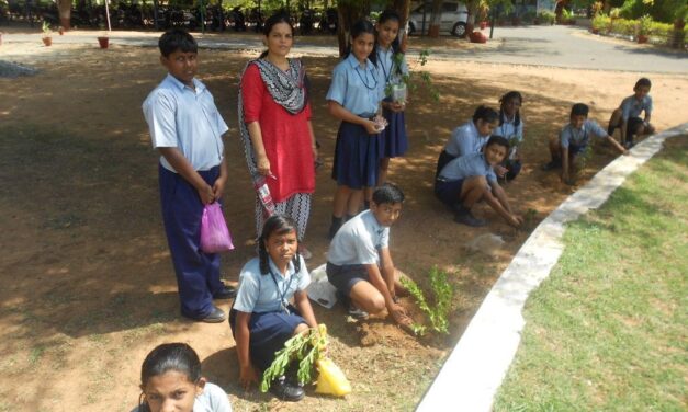 Mumbai-based NGO to contribute towards world record, will plant 5000 saplings on July 1