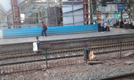 College student injured while collecting ticket at Bhandup railway station