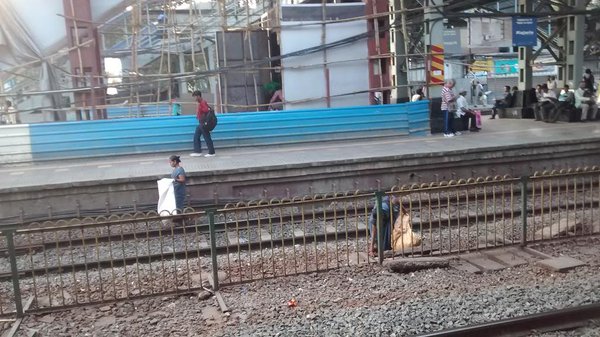 College student injured while collecting ticket at Bhandup railway station