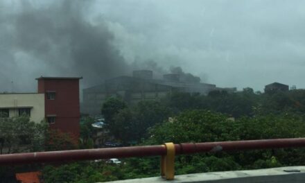 Fire at rubber godown at Mumbai Port Trust area in Sewri