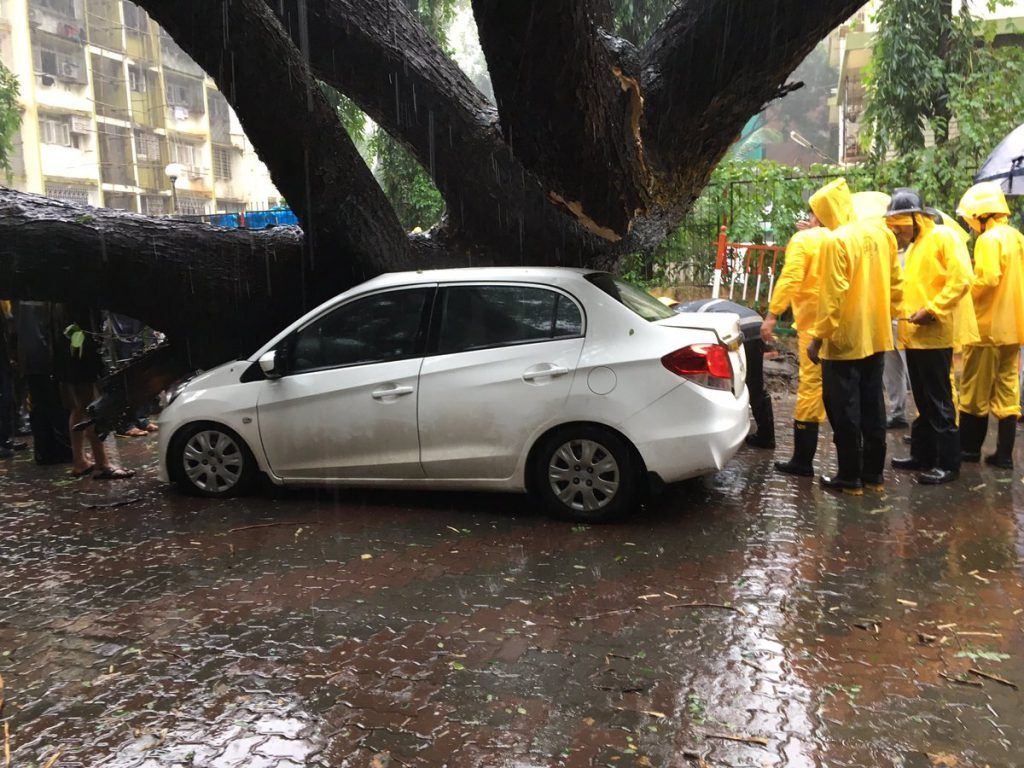 Man crushed to death in Sunder Nagar, Malad after tree falls on car 1