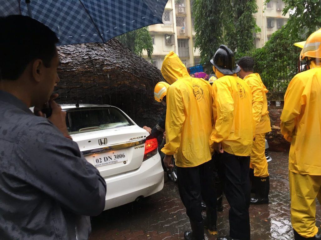 Man crushed to death in Sunder Nagar, Malad after tree falls on car 3