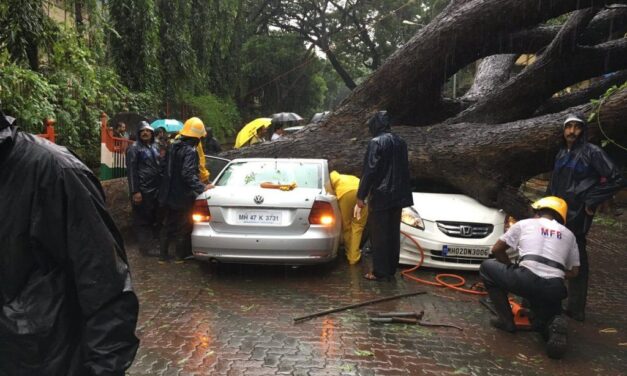 Man crushed to death in Sunder Nagar, Malad after tree falls on car