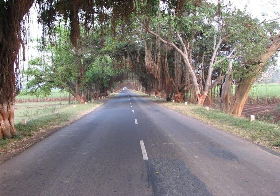 Mumbai-Goa highway to be converted to 4-lane by 2018
