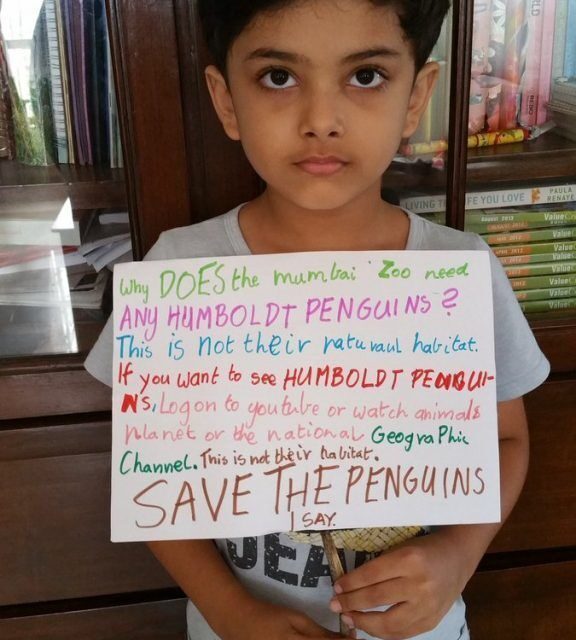 Why penguins aren’t feeling the ‘love’ in Mumbai