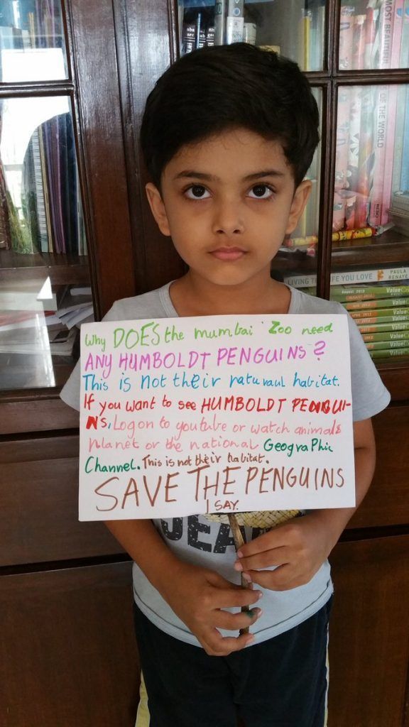Why penguins aren't feeling the 'love' in Mumbai