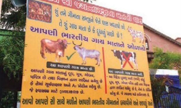 Worship only Indian cows, says protection group