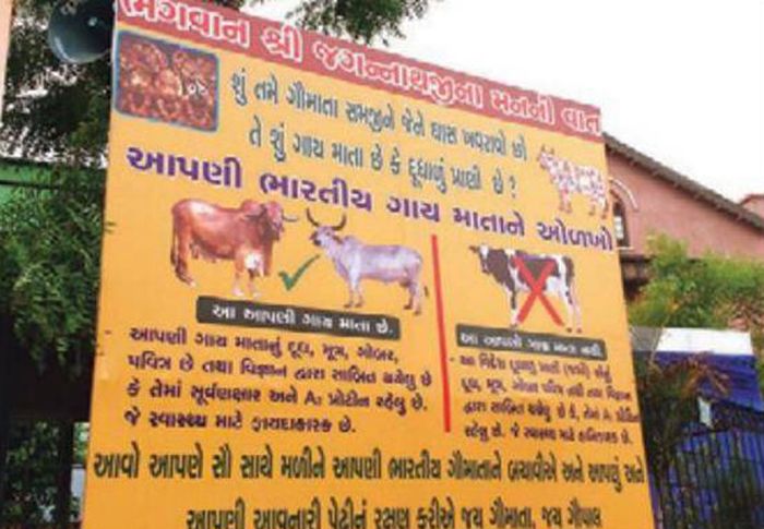 Worship only Indian cows, says protection group