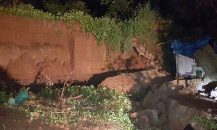 Teen dies in Mulund wall collapse, 16 others injured
