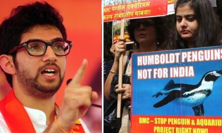 Aaditya Thackeray lectures government on environment, fails to address the ‘penguin’ in the room