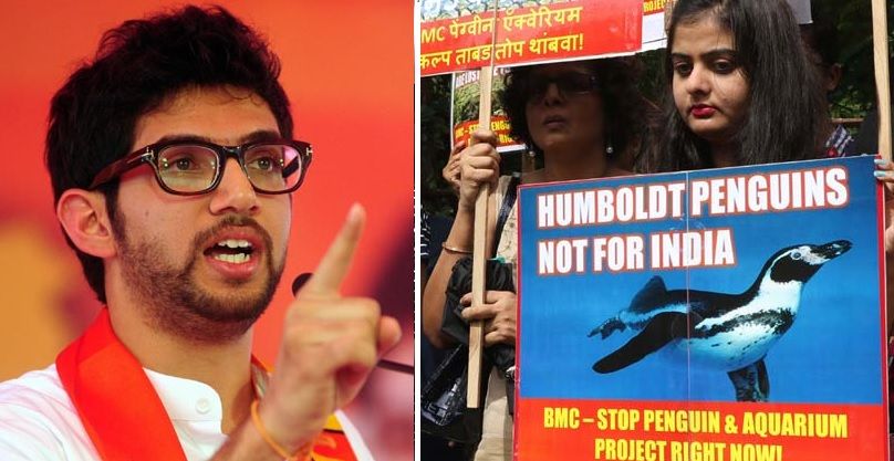 Aaditya Thackeray lectures government on environment, fails to address the 'penguin' in the room