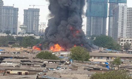 Video: Major fire at furniture market in Oshiwara, multiple cylinder blasts heard