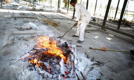 3 crematoriums in Mumbai to stop using wood, help save trees