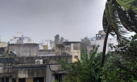 Video: Cyclone Vardah hits Chennai, Tamil Nadu & Andhra Pradesh on high-alert