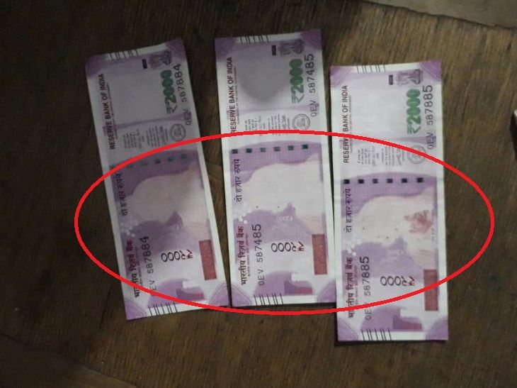 2 farmers receive 'genuine' Rs 2000 notes without Gandhi image from SBI