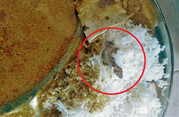 130 residents of Chembur hostel served lizard in gravy, file complaint against mess contractor
