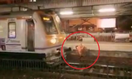 Video: Alert driver stops train in nick of time, saves elderly at Charni Road Station