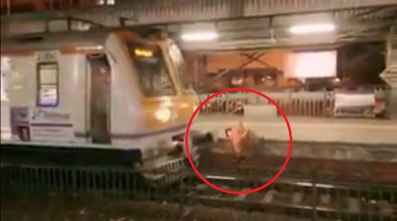 Alert driver stops train in nick of time, saves elderly at Charni Road Station