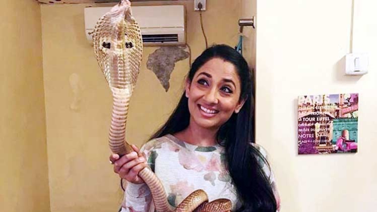 Shruti Ulfat of 'Nagarjuna' fame arrested for posing with live cobra, posting video on social media