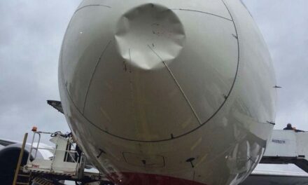Air India flight grounded after bird hits aircraft’s nose, damages radar