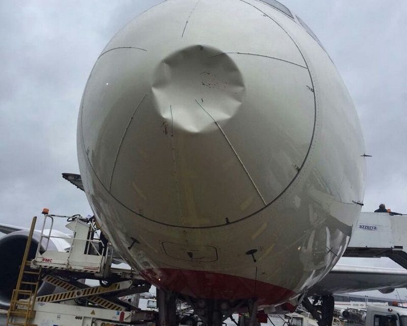 Air India flight grounded after bird hits aircraft’s nose, damages radar