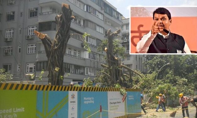 Plant 100 trees for every single one you cut: CM Fadnavis to Metro Authority