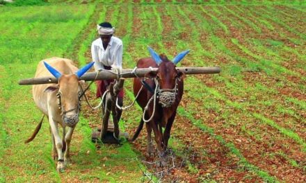 Rich farmers may get excluded from Maharashtra government’s loan waiver