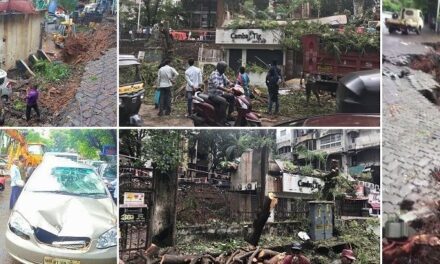 Multiple cars, shops damaged after portion of Zig Zag Road in Bandra’s Pali Hill caves in