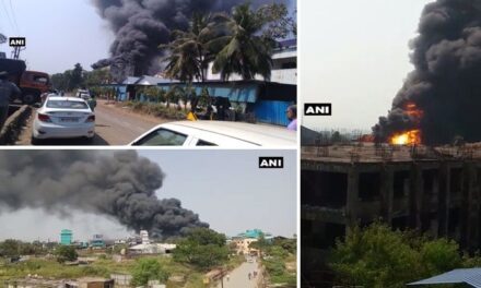 Video: Massive fire breaks out at factory in Taloja, Navi Mumbai