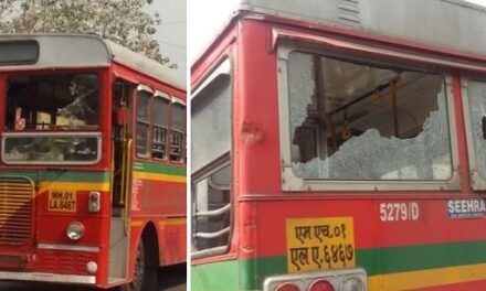 20 BEST buses vandalised during Dalit protest