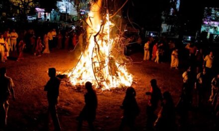 Cut a tree for Holi? Face imprisonment or penalty, warns BMC