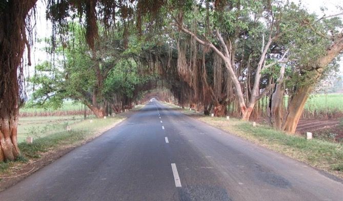 Mumbai-Goa highway widening underway, to have four lanes by 2019