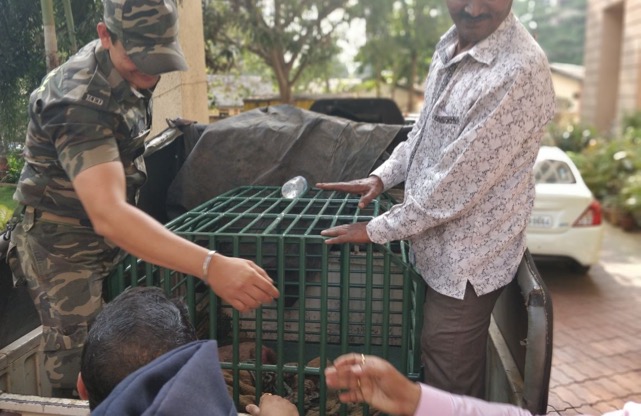 Thane police arrests two men for trying to smuggle endangered Pangolin