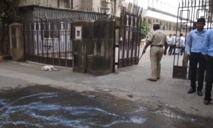 56-year-old labourer tries to light self on fire outside Mantralaya gate, detained