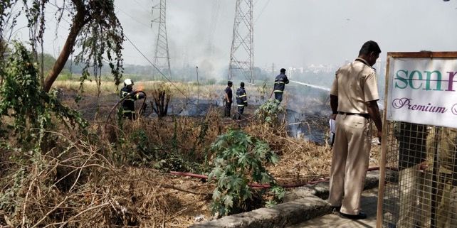 In Pics: Fire breaks out at mangroves near Bhandup pumping station, lit cigarette likely cause 1